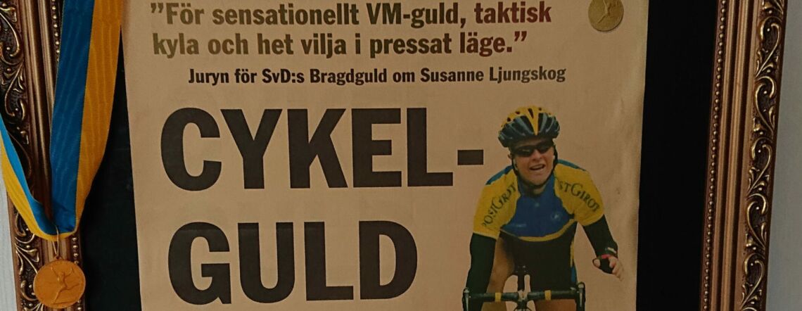Bragdguld